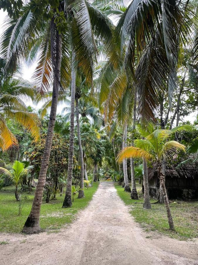 Casa Zaba Villa Tulum Dış mekan fotoğraf
